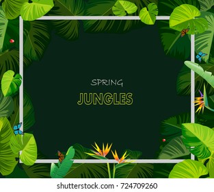 spring jungles backgrounds vectors