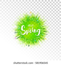 Spring label with flowers and green grass isolated on transparent background. Spring banner. Vector illustration