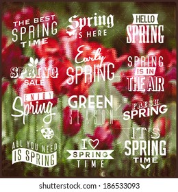 Spring labels on bright background