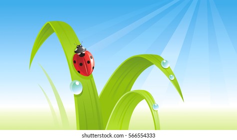 Spring ladybug banner border. Ecological concept. Environment friendly vector illustration. Summer landscape. Green grass, blue sky, insect. Springtime nature. Flat greeting card background design