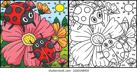 Spring Ladybugs On Flower Coloring Illustration