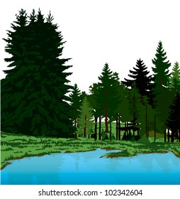 spring landscape