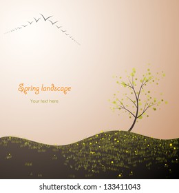 spring landscape