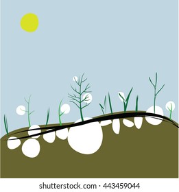 spring landscape