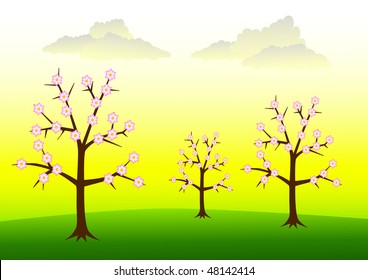 Spring landscape