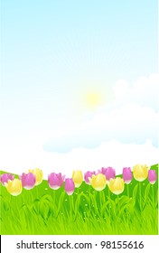 Spring landscape