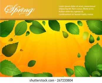 Spring Landscape Background with Leafs and Sample Text