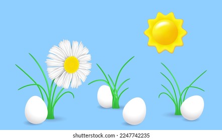 Spring landscape with big chamomile, green grass and white eggs. Easter background