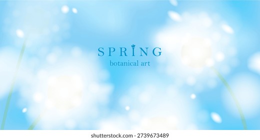Spring landscape blurred background. White elegant soft flowers. Blue sky, green grass. Natural fresh mood. Macro dandelions.