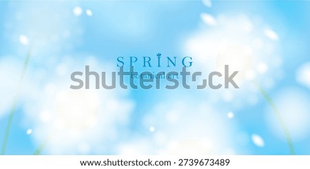 Spring landscape blurred background. White elegant soft flowers. Blue sky, green grass. Natural fresh mood. Macro dandelions.