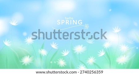 Spring landscape blurred background. White elegant soft flowers. Blue sky, green grass. Calm and Fresh natural backdrop.