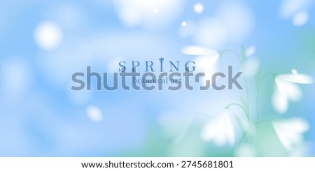 Spring landscape blurred background. White elegant soft flowers. Blue sky, green grass. Natural fresh mood.