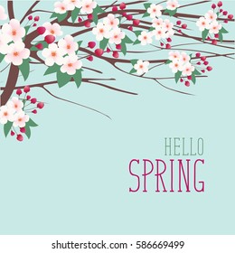 Spring landscape with branches of blooming tree with white and pink flowers on the blue sky
