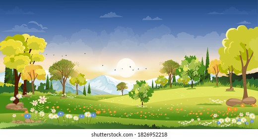 Spring landscape in countryside with green meadow on hills with blue sky, Vector Summer or Spring landscape, Panoramic village with grass field and wildflowers, Holiday natural background