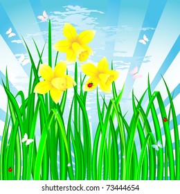 Spring landscape with the daffodils, grass and ladybirds. Vector.