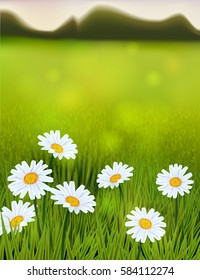 Spring landscape with daisy flowers and fresh green grass. Vector illustration for poster, flyer, greetings card design