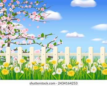 Spring landscape field green grass, blooming tree, daisy, dandelion flowers, white fence, clouds