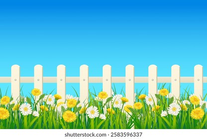 Spring landscape field green grass, daisy, dandelion flowers