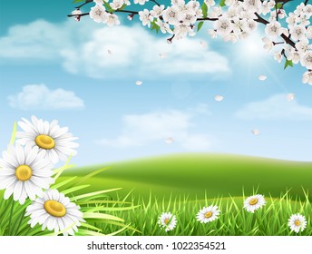 Spring landscape with a flowering branch of a tree with grass and daisies in the foreground.