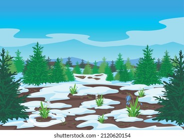 Spring landscape with forest, glades, melting snow and snowdrops. Beautiful spring background illustration. Vector