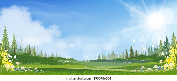 Spring landscape with grass field, blue sky and fluffy clouds,Panorama farm land,fresh and peaceful rural nature in springtime in the morning, Cartoon vector illustration for spring and summer banner