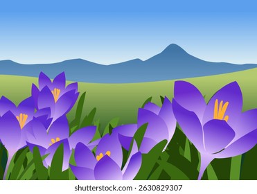 Spring landscape illustration with crocus