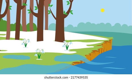 Spring landscape, melting snow and snowdrops on the river bank