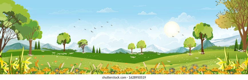 Spring landscape with mountain, blue sky and clouds,Panorama Green fields, fresh and peaceful rural nature in springtime with green grass land. Cartoon vector illustration for spring and summer banner