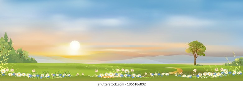 Spring landscape with mountain, blue sky and clouds, Panorama Green fields,fresh and peaceful rural nature in springtime with green grass land. Cartoon vector illustration for spring and summer banner