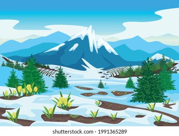 Spring landscape with mountains, forest, glades, melting snow and yellow crocuses. Beautiful spring background illustration. Vector