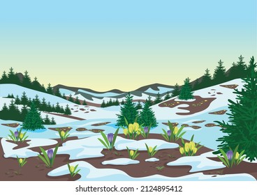 Spring landscape with mountains, forest, glades, melting snow and yellow crocuses. Beautiful spring background illustration. Vector