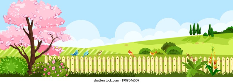 Spring landscape nature vector background with grass meadow, sakura blossom tree, hedge, hills, sky, clouds. Summer rural cartoon countryside backyard view. Spring panoramic flat flower landscape