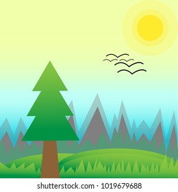 Spring landscape of pine forest and green meadow with hills on sunny morning. Birds arrive to home. Scenery nature flat vector illustration style