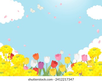 Spring landscape of rape blossoms, tulips, and cherry blossom petals_background frame