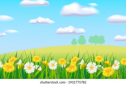 Spring landscape rural countryside, blooming daisies dandelions, rural nature. Panorama springtime green fields, blue sky. Vector background