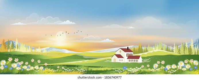 Spring landscape in Sunny day village with meadow on hills with blue sky, Panoramic countryside of green field with farmhouse, mountains and grass flowers,Vector Summer or Spring nature background