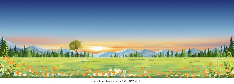 Spring landscape with sunset sky with mountain and pine trees in evening,Panorama Green field of grass land with wild flower blooming in Summer,Cartoon vector horizon banner for World environment day