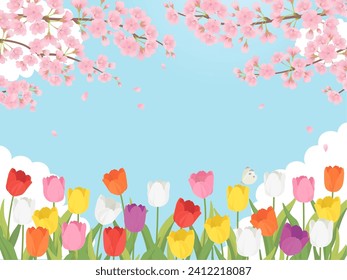 Spring landscape of tulip field and cherry blossoms background frame