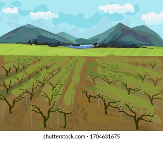 Spring landscape with vineyard, mountains on horizon and blue sky in impressionistic manner