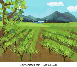 Spring landscape with vineyard, mountains on horizon and blue sky in impressionistic manner
