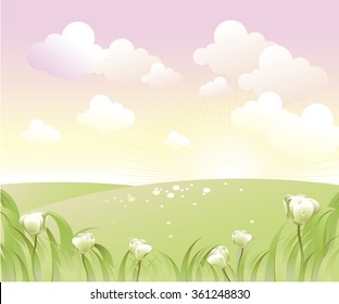 Spring landscape with white flowers and sun light.