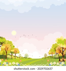 Spring landscape wonderland forest with grass land in morning,Vector Summer time in the park,Green park with grass field and flower blooming, Holiday natural background,Cute Natural backdrop for kids