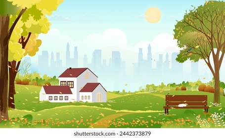 Spring landscapes blue sky,cloudscape,city park with cat sleeping on bench in the morning,Vector cartoon Summer season in the garden urban park with clouds,sky background