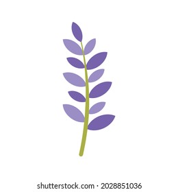Spring lavender icon. Flat illustration of spring lavender vector icon isolated on white background