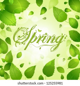 Spring Leaf Background with Ornate Script 'Spring'