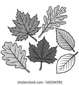 Spring Leaf Collection Illustration