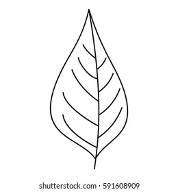 Spring leaf icon. Outline illustration of spring leaf vector icon for web