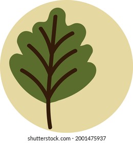 Spring leaf, illustration, on a white background.