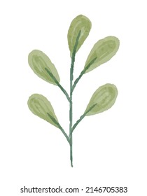 Spring Leaf Illustration with Watercolor Style