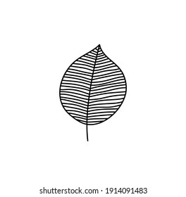 Spring Leaf Outline Vector line Icon. Doodle Spring Concept Minimal Style Illustration for kids book design or web. Element of tree logo.